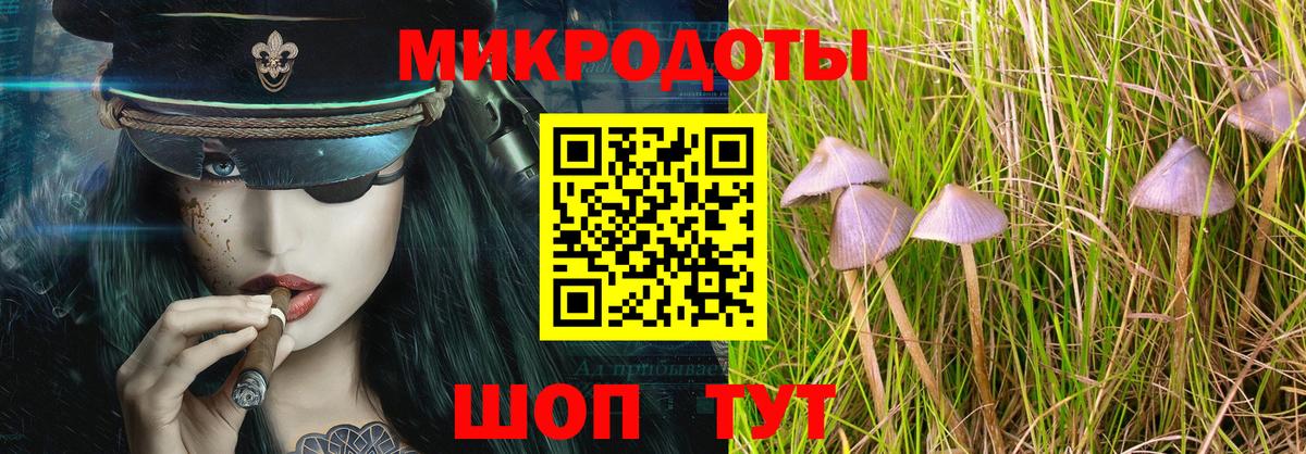 Абакан  Галлюциногенные грибы прущие грибы  Вход с VPN  Псилоцибиновые грибы прущие грибы 